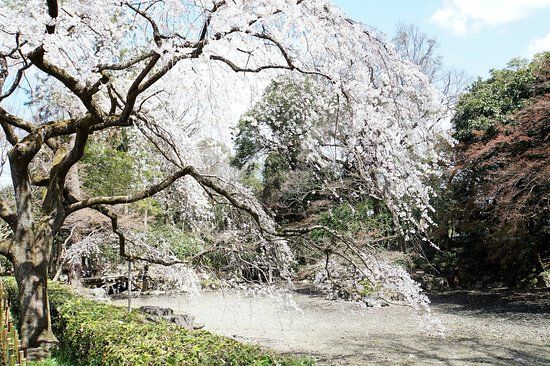 京都御所